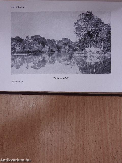 Közép-Brazilia természeti népei között