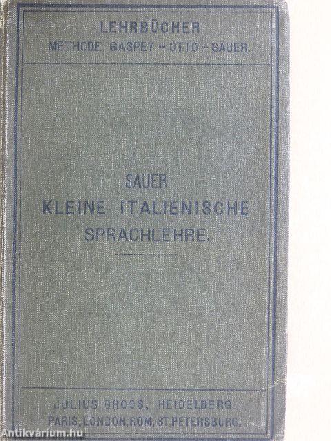 Kleine Italienische Sprachlehre für den Gebrauch in Schulen und zum Selbstunterricht (gótbetűs)