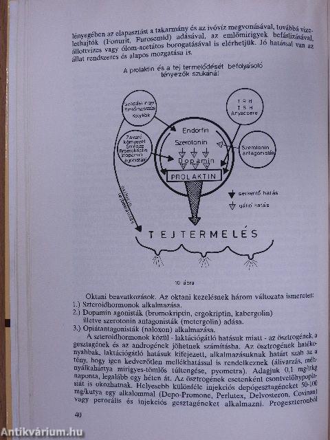 Kutyaszülészet és szaporodásbiológia (dedikált példány) (rossz állapotú)