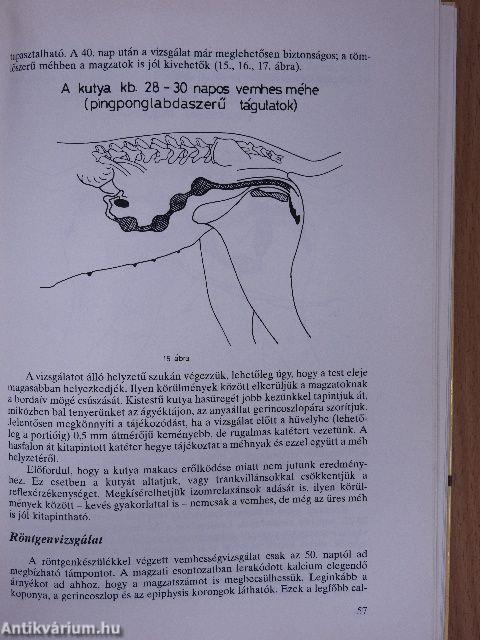 Kutyaszülészet és szaporodásbiológia (dedikált példány) (rossz állapotú)