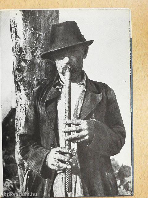 Magyar népdalok, népi hangszerek