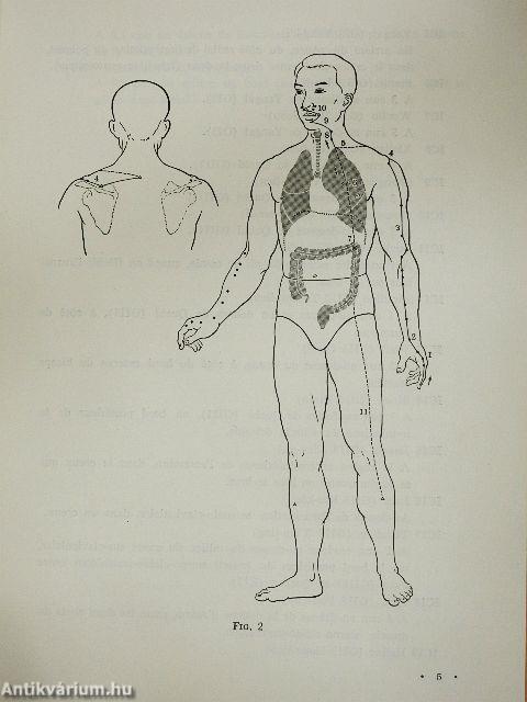 Cahier d'Explications pour les Planches Anatomiques des Points d'Acupuncture et des 14 Meridiens