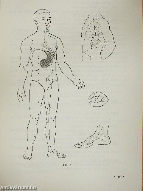 Cahier d'Explications pour les Planches Anatomiques des Points d'Acupuncture et des 14 Meridiens