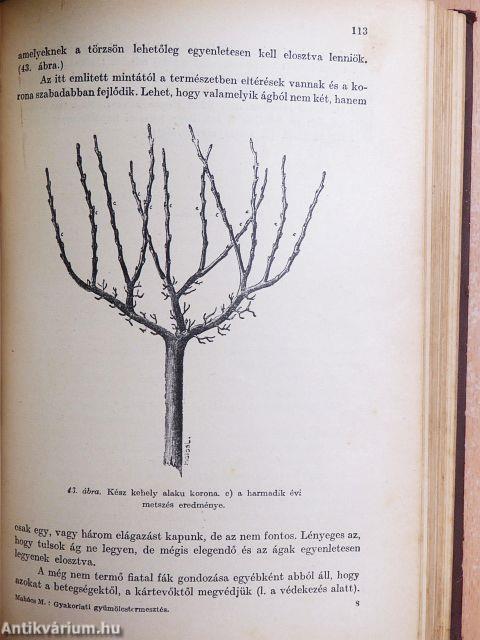 Gyakorlati gyümölcstermesztés