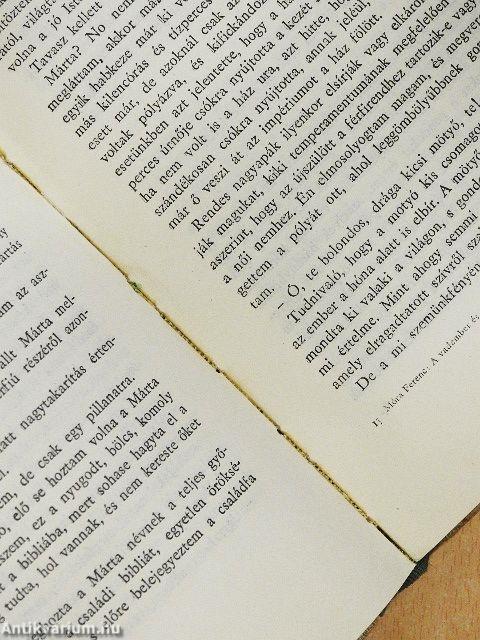 A vadember és családja/Göröngykeresés és más csöndes történetek