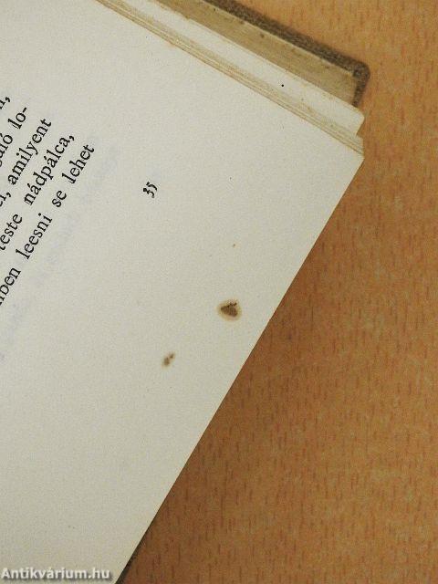 A vadember és családja/Göröngykeresés és más csöndes történetek