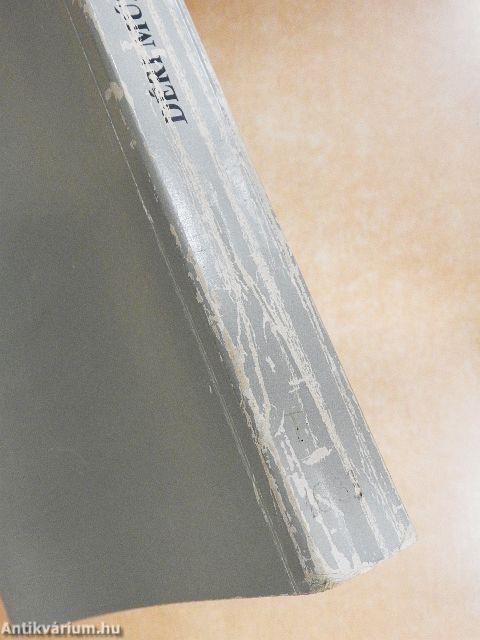 A debreceni Déri Múzeum évkönyve 1985