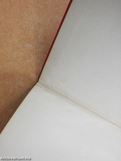 Emlékülés a Tanácsköztársaság 50. évfordulója alkalmából