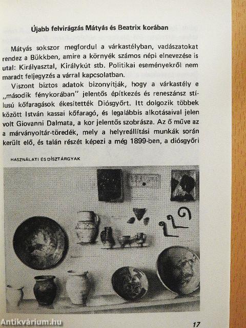 A diósgyőri vár és környéke