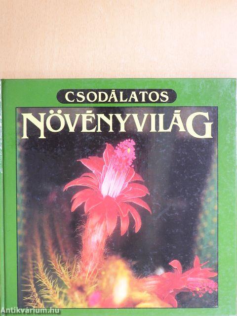 Csodálatos növényvilág