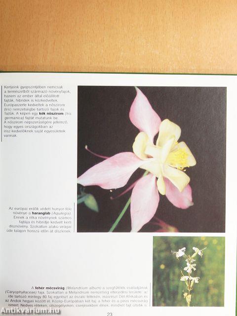 Csodálatos növényvilág