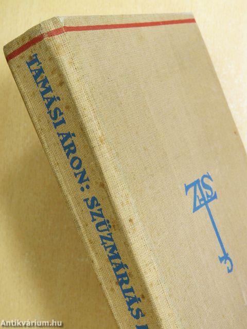 Szűzmáriás királyfi