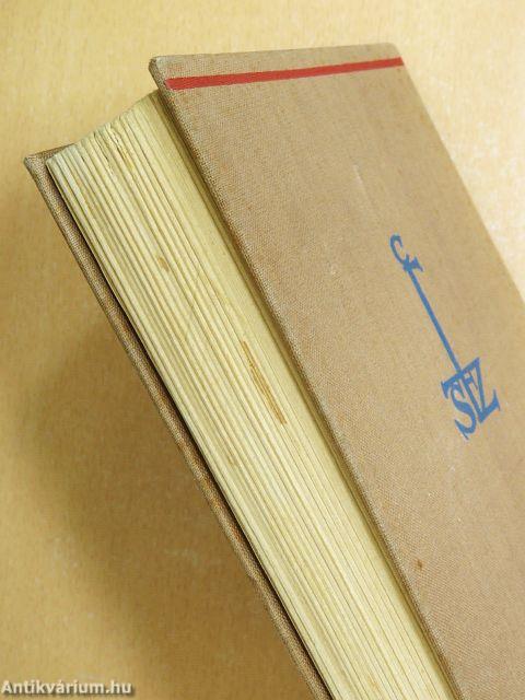 Szűzmáriás királyfi