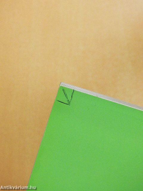 Honvédorvos 2004/2.