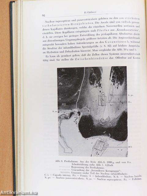 Die Sexualität des Menschen