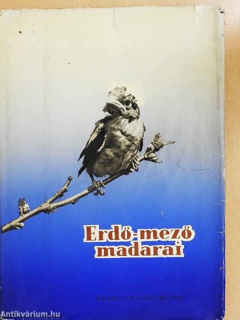 Erdő-mező madarai
