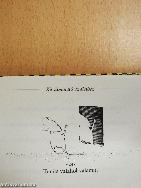 Kis útmutató az élethez