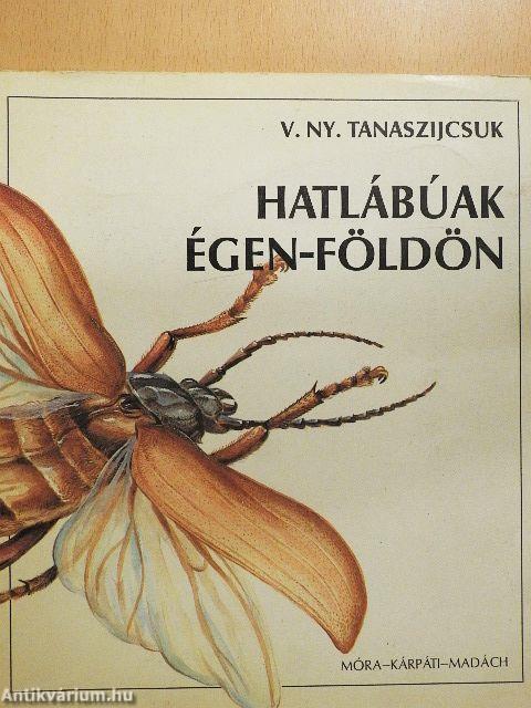 Hatlábúak égen-földön