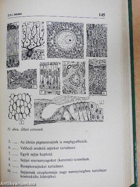 Biológiai fejtörő
