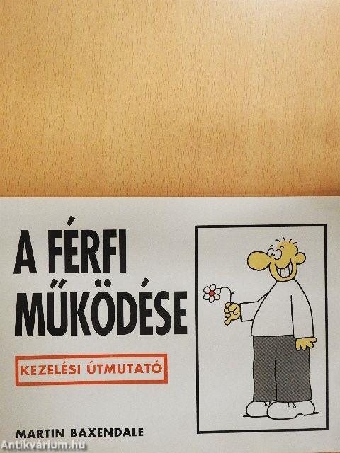 A férfi működése