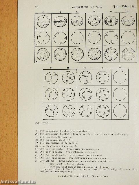 Cormophyte Spore Classification