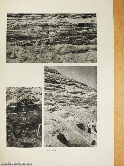 Das Pleistozän-Profil von Frimmersdorf an der Erft