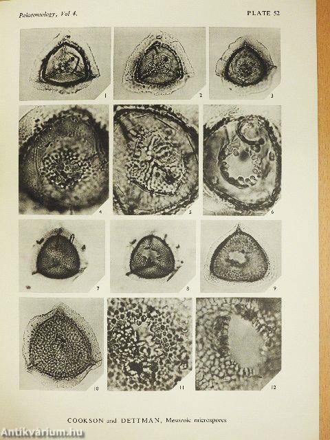 Reappraisal of the Mesozoic Microspore Genus Aequitriradites