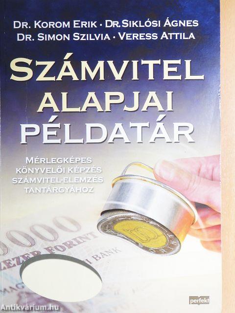 Számvitel alapjai példatár