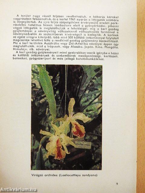 A vácrátóti botanikus kert