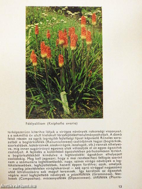 A vácrátóti botanikus kert