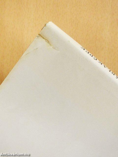 XVI. századi német táblaképek