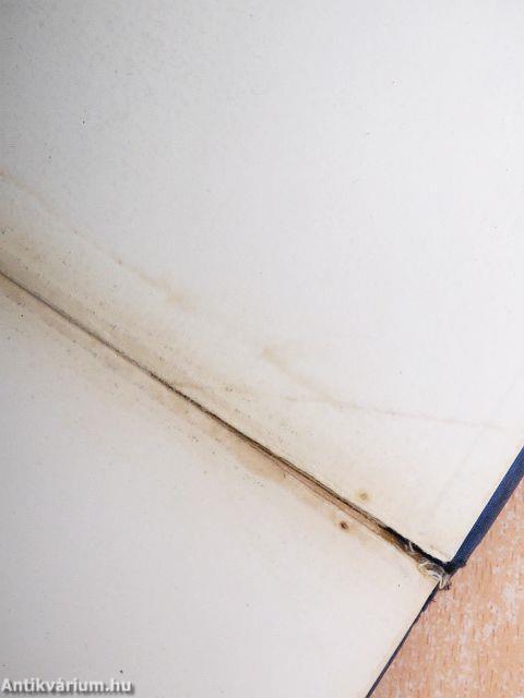 Mesék, történetek és költemények prózában