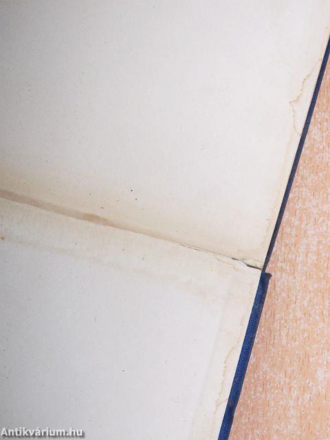 Mesék, történetek és költemények prózában