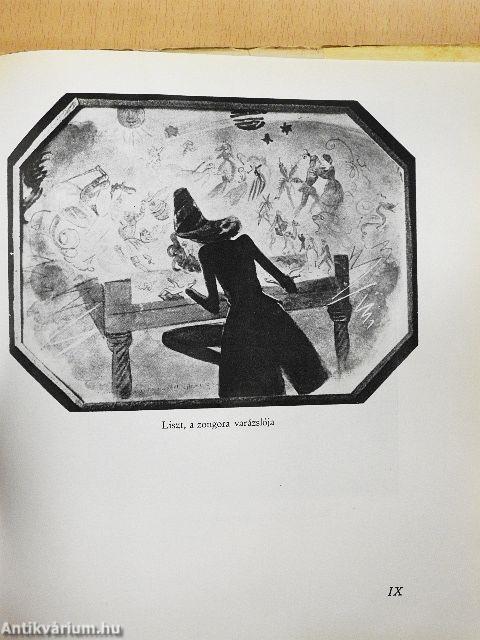 Liszt Ferenc - 2 db hanglemezzel