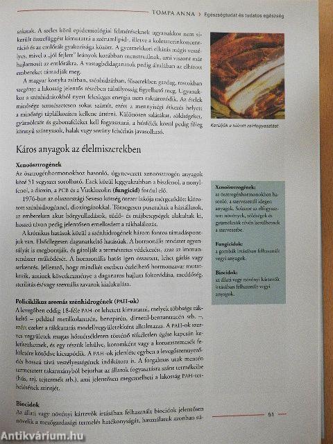 Mindentudás Egyeteme 3.