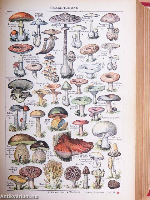 Nouveau petit Larousse illustré