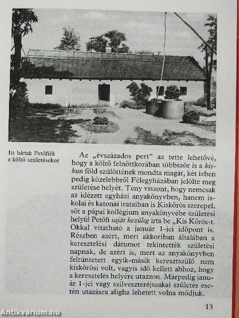 Így élt a szabadságharc költője