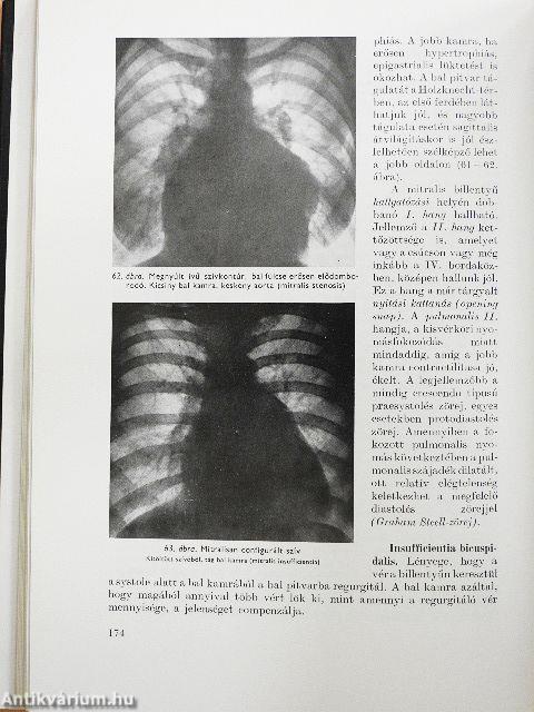 Belgyógyászati diagnosztika