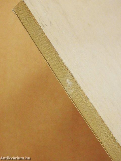 Múzeum és közönség 7