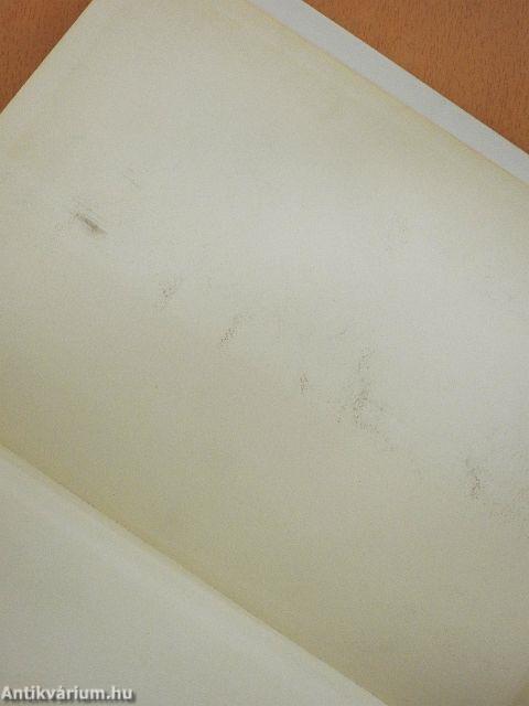 Biblia Pauperum és előtte a Vita et passio Christi képei a Szépművészeti Múzeum kódexében