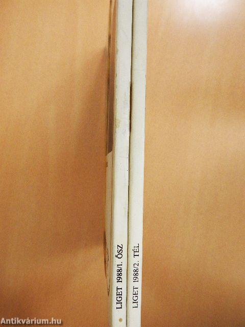 Liget 1988. Ősz-tél