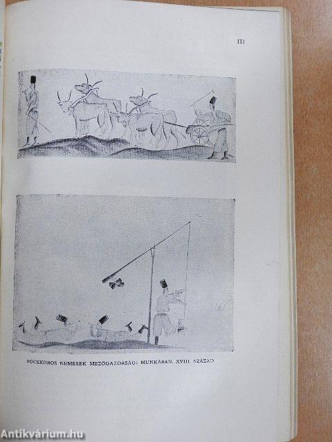 Magyar történet V.