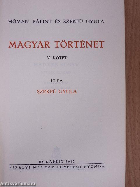 Magyar történet V.