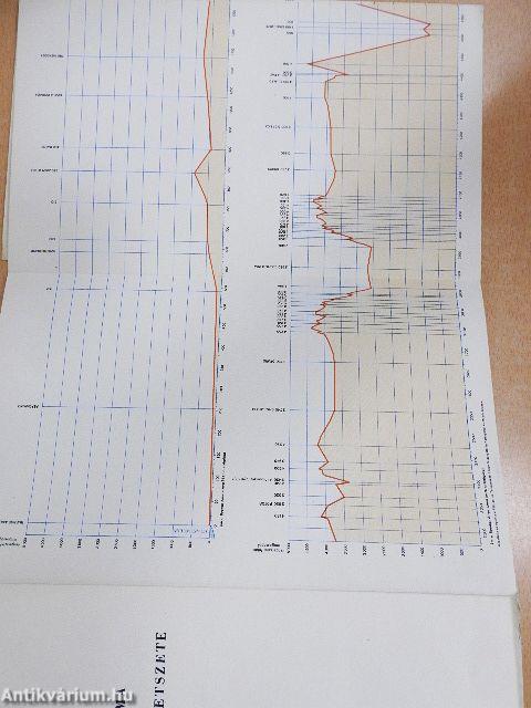 A Kordillerákon át