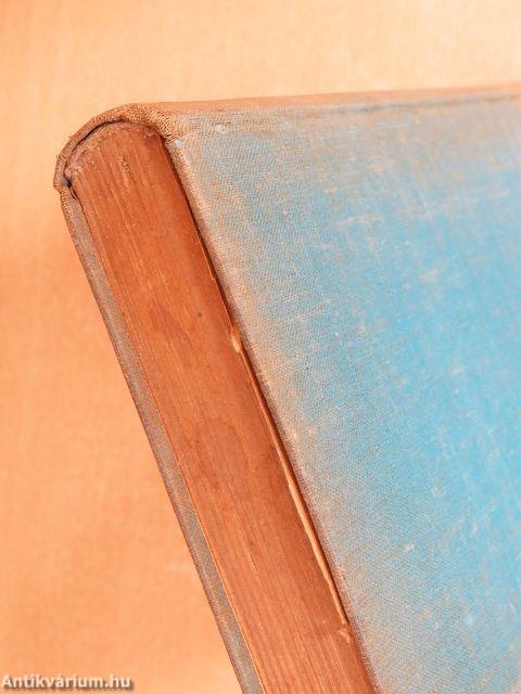 A mai francia regény