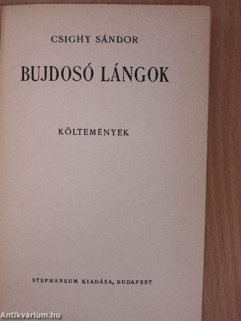 Bujdosó lángok