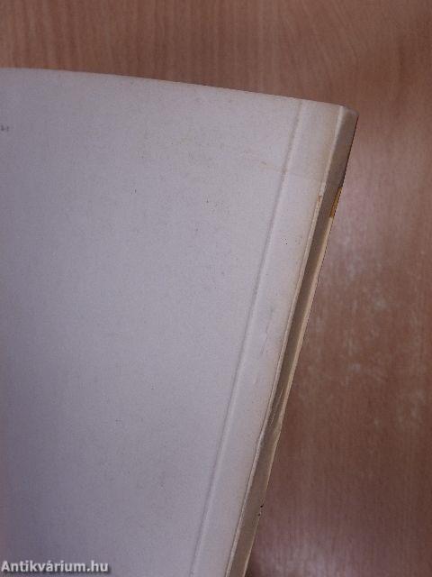 A vidéki értelmiség helyzete II.