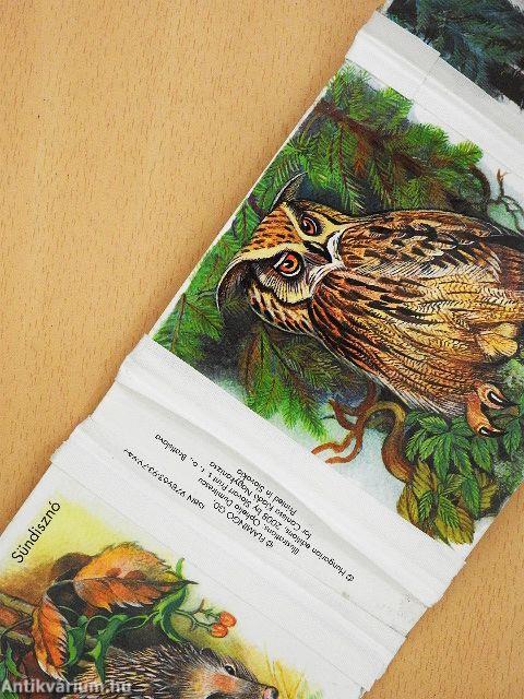 Állatok az erdőben