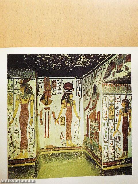 Miért fest az ember