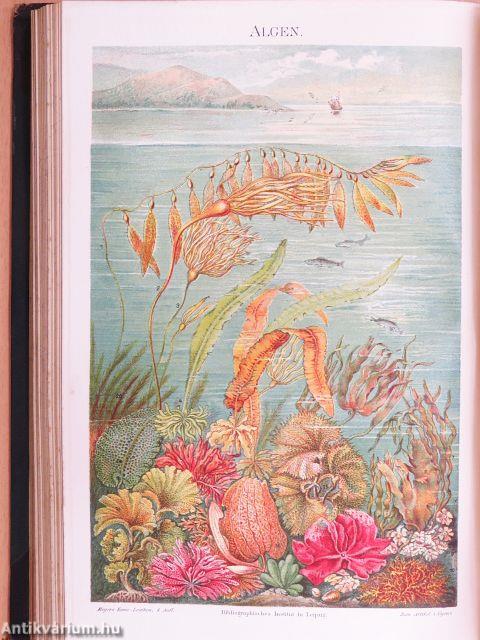 Meyers Konversations-Lexikon I-XVI. (gótbetűs)